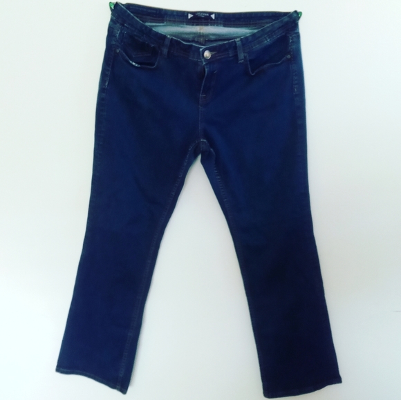 Vigoss Denim - Vigoss Blue Jeans with Floral Print Pockets size 20